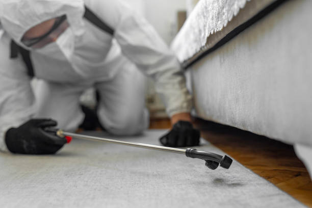 Professional Cockroach Control technician working in Streamwood, IL